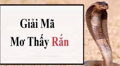 Lý giải hiện tượng nằm mơ thấy rắn