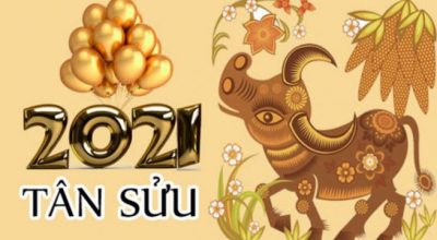 Năm 2021 là năm con gì, tuổi gì, hợp hướng nào và màu gì.