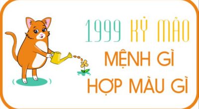 Sinh năm 1999 là mệnh gì, tuổi con gì và hợp màu sắc hướng nào?