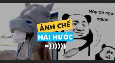 Kho ảnh chế siêu hài hước mỗi ngày