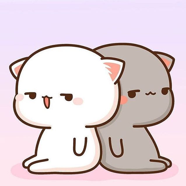 Hình ảnh avt đôi cute mèo