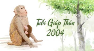 Nam mạng và nữ mạng sinh năm 2004 mệnh gì