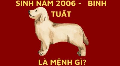 Người tuổi bính tuất sinh năm 2006 mệnh gì