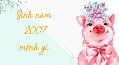 Tuổi đinh hợi sinh năm 2007 mệnh gì
