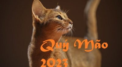 Tuổi mão sinh năm 2023 mệnh gì