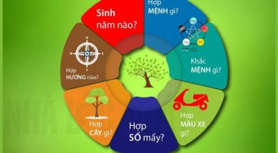 Người mệnh Mộc hợp màu gì, kỵ màu gì, sinh năm bao nhiêu