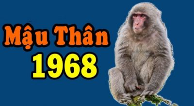 Tuổi mậu thân sinh năm 1968 mệnh gì