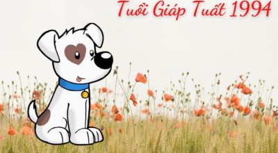 Tuổi giáp tuất sinh năm 1994 mệnh gì
