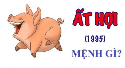 Át hợi 1995 thuộc mệnh gì