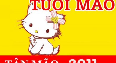 Tuổi tân mão sinh năm 2011 mệnh gì